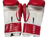 Evolution Sparring Gloves