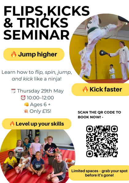 Evolution Flips, Kicks & Tricks Seminar