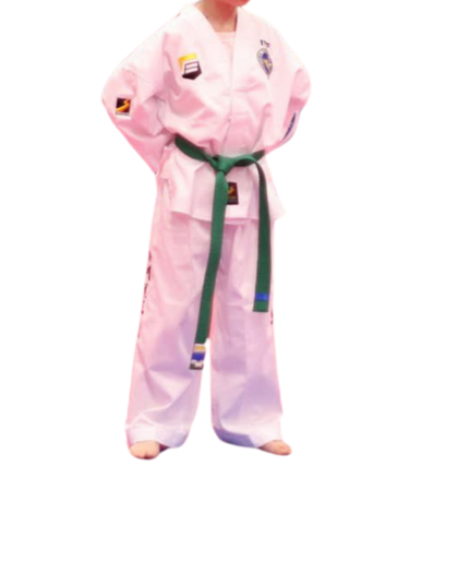 Evolution's Official Colour Belt Dobok